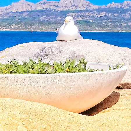 Ginestra Con Parcheggio Privato Apartment